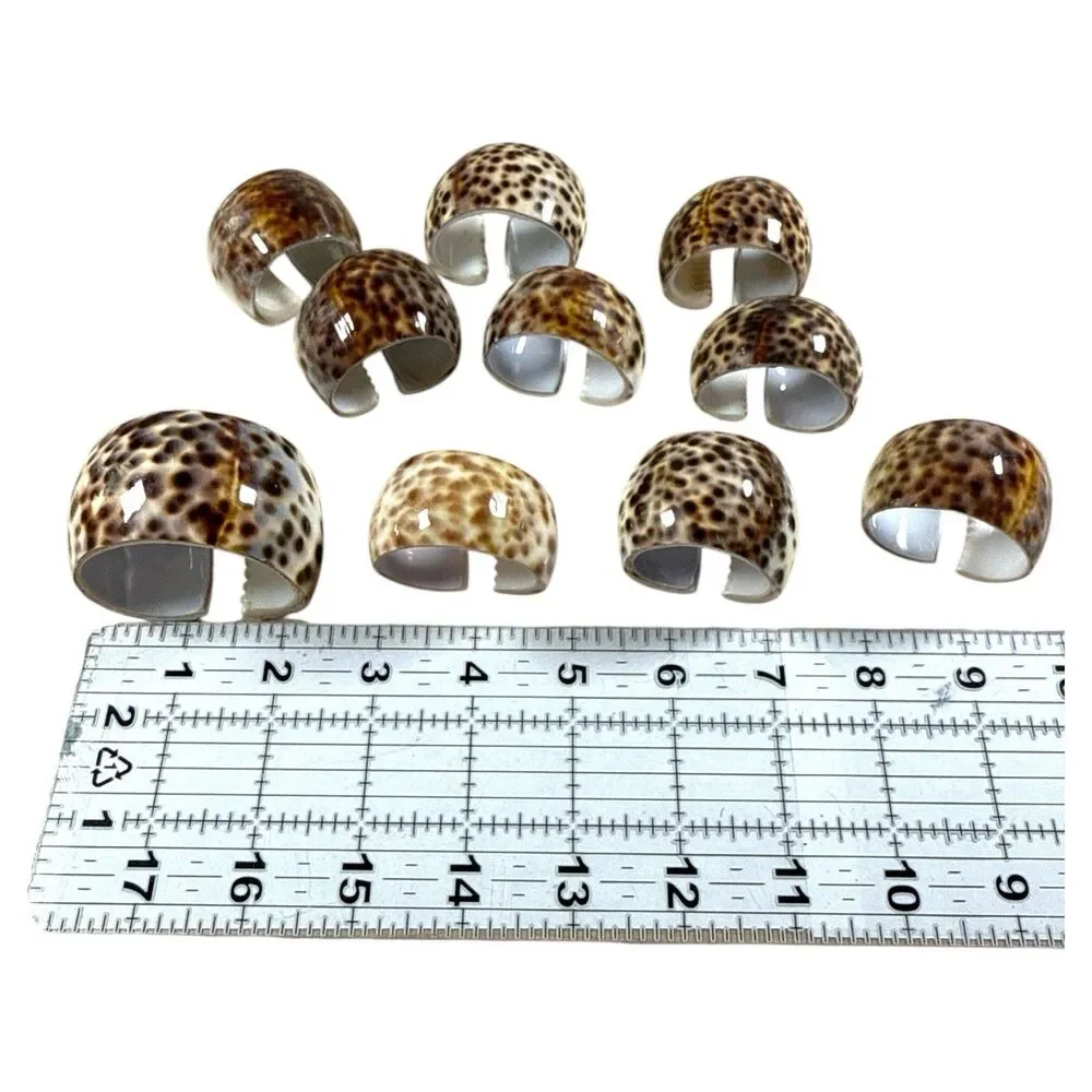 Vintage Tiger Cowrie Seashell Napkin Rings Leopard Spot Set of 10